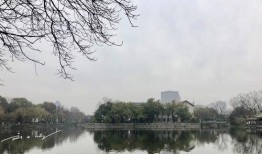 宁波西湖区最新爆料,揭秘区域发展新动向与未来蓝图