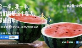 免费吃瓜的文案,揭秘娱乐圈幕后故事