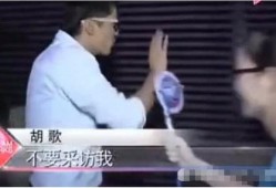 网友爆料胡歌视频是真的吗,网友爆料胡歌视频真实性揭秘