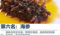 海参厨师爆料视频,海参烹饪背后的秘密与技巧