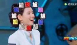 熊猫明星爆料视频,揭秘幕后故事与趣味瞬间