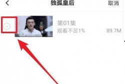 小慧删除爆料视频下载,真相背后引人深思