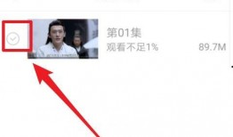 小慧删除爆料视频下载,真相背后引人深思