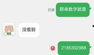 即色是空2015在线观看,2015年度心灵觉醒之旅