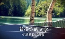 风景最新爆料视频大全高清