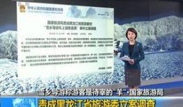 连云港导游爆料新闻视频,新闻视频背后的真实故事