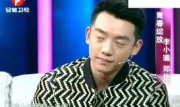 郑恺爆料静姐视频播放全集,一场视觉与情感的盛宴