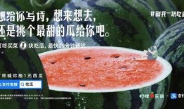 免费吃瓜的文案,揭秘娱乐圈幕后故事