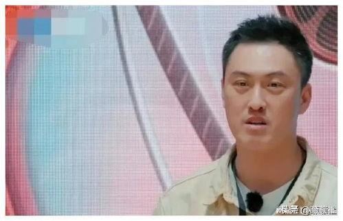 娱乐圈吃瓜教主百度云,揭秘娱乐圈幕后风云